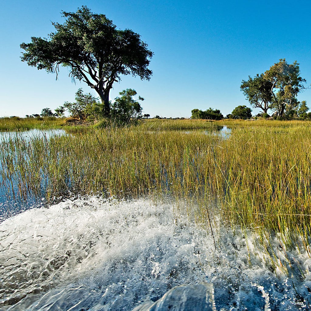 Zambezi Region Highlight von Namibia