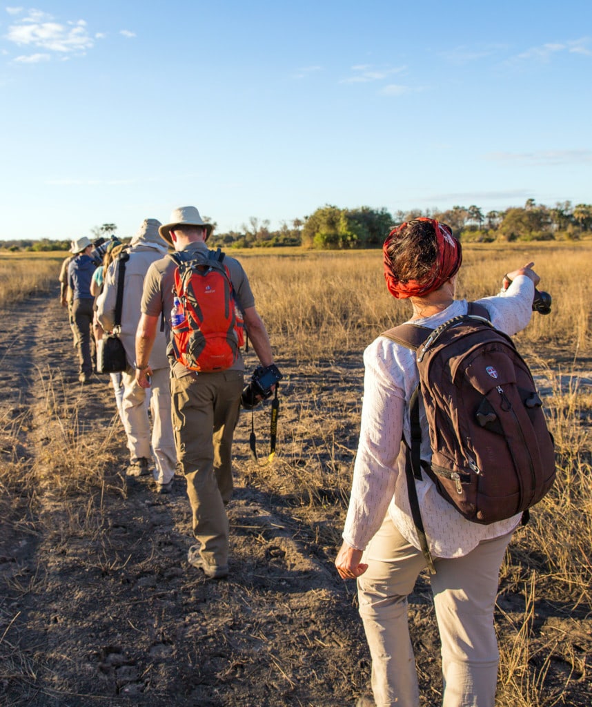 Botswana Highlight Fußsafari