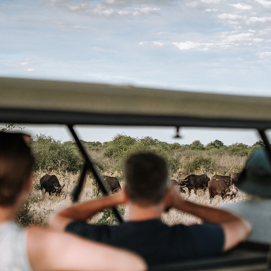 Chobe Nationalpark Pirschfahrt
