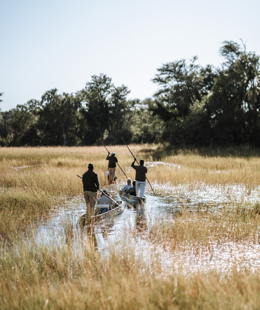 Botswana Reisen buchen