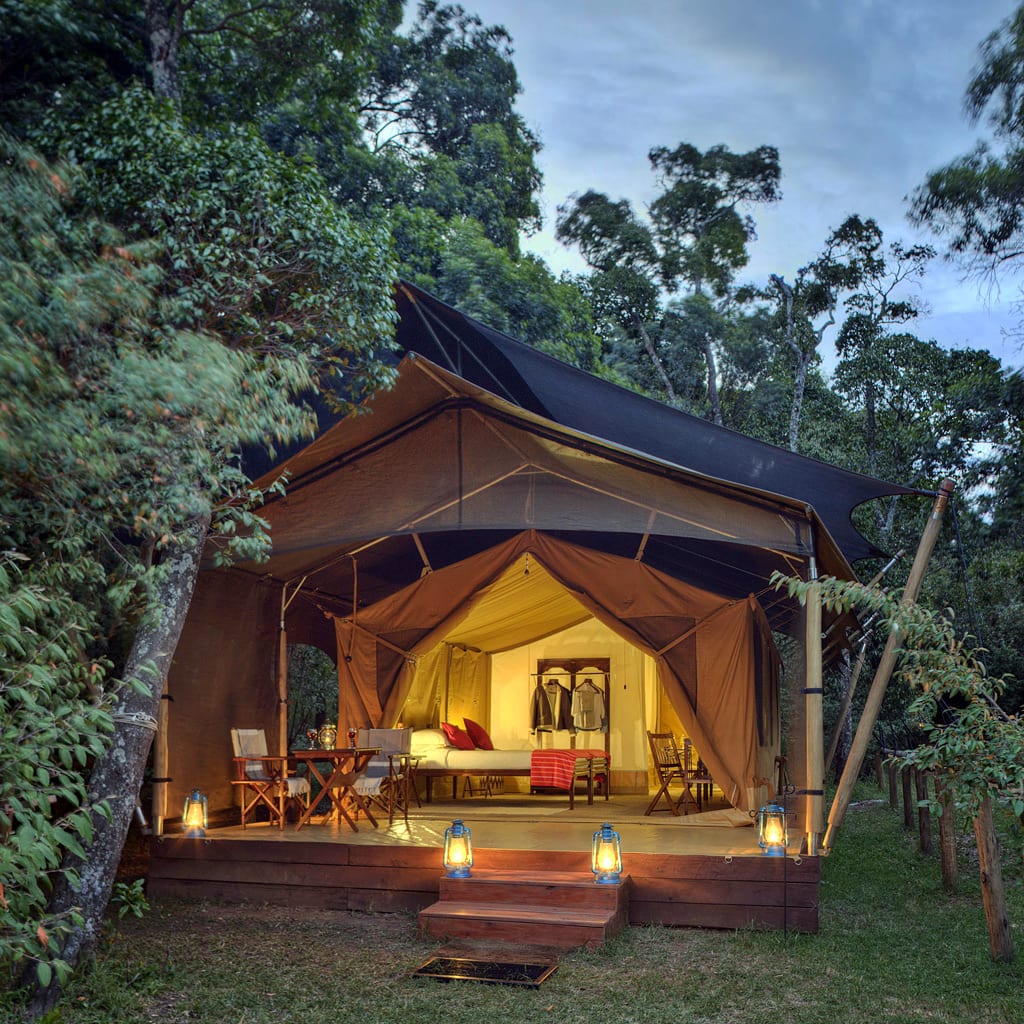 Elephant Pepper Camp Masai Mara