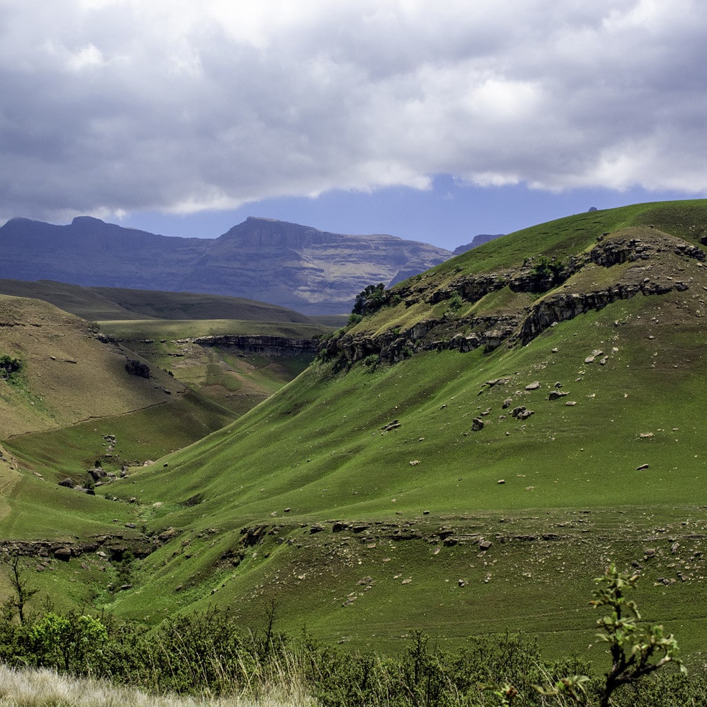 Weite grüne Landschaften auf Wanderreise durch Südafrika