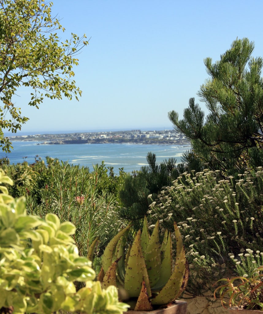 Hermanus Rundreise Kapregion Sieben Tage