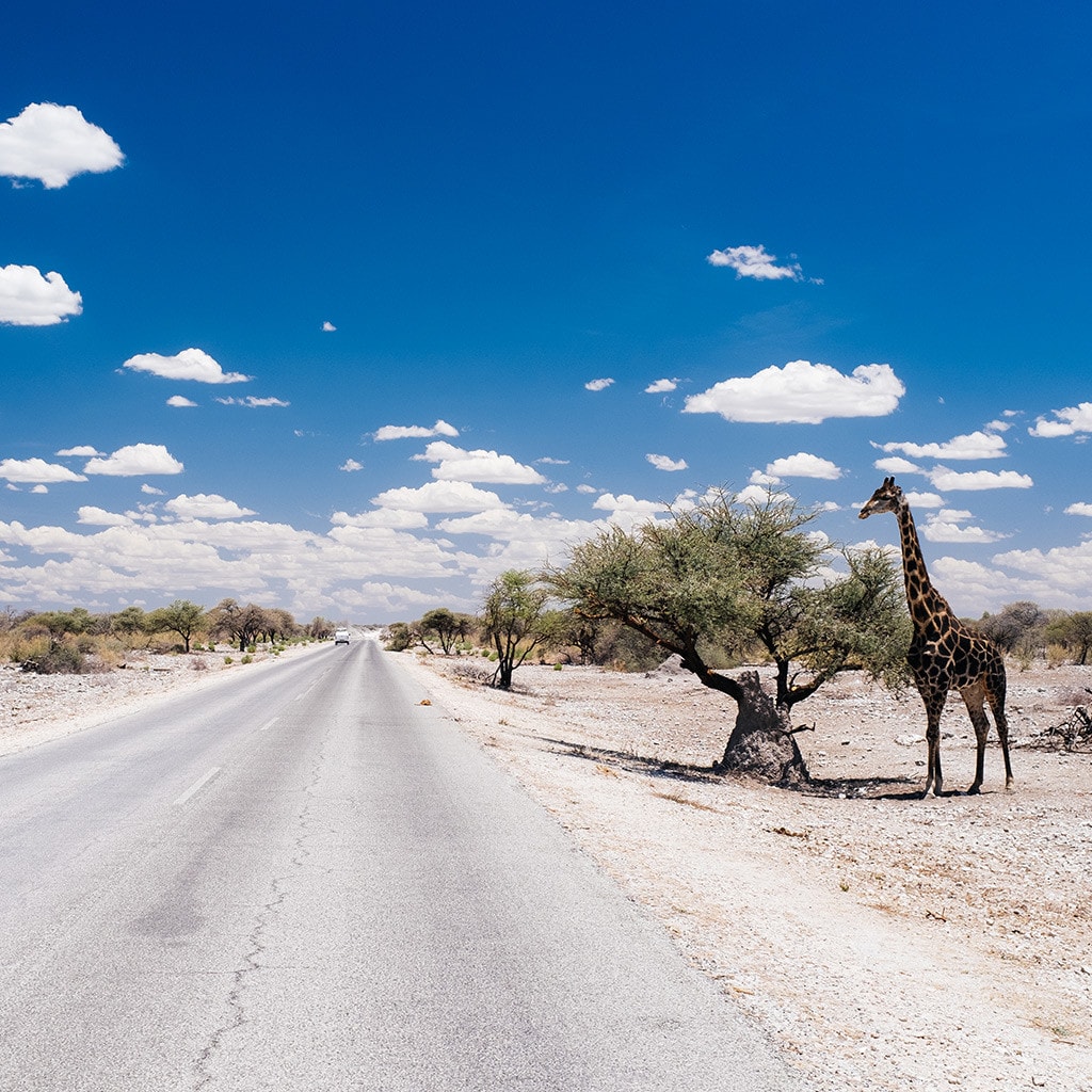 Namibia Familienreise mit Kindern