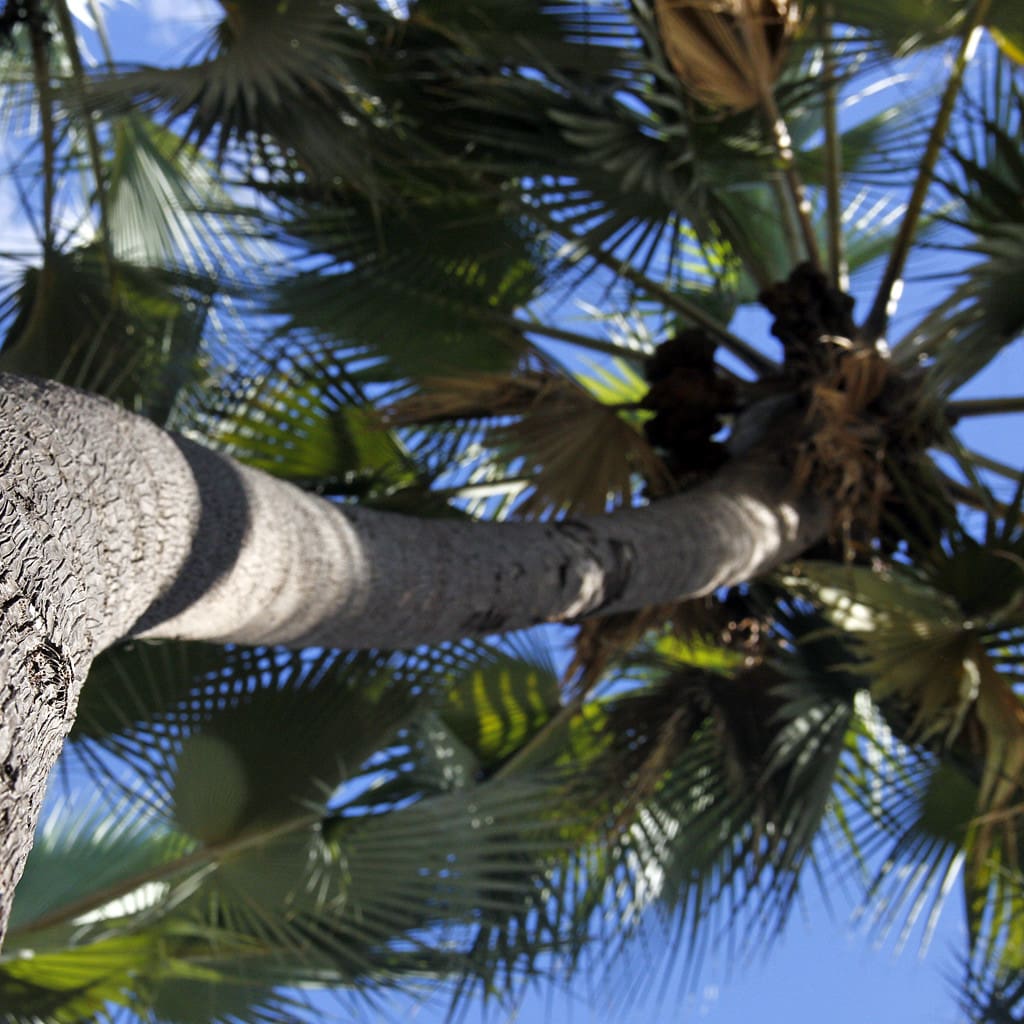 Abgelegene Gebite erkunden auf individueller Privatreise in Namibia