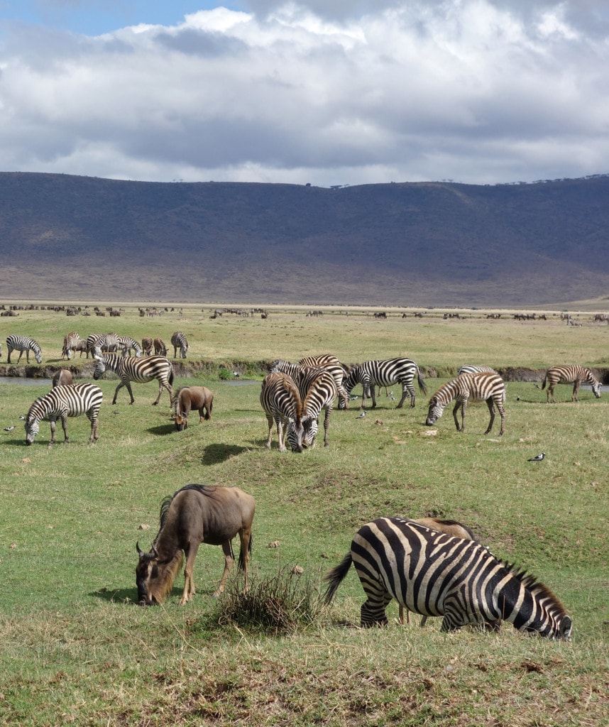 Der Ngorongoro Krater während einer privaten Tansania Safari