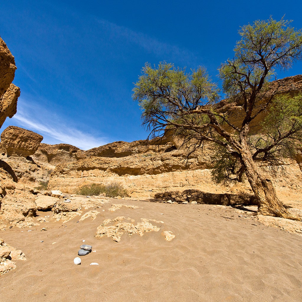 Overland Camping Gruppenreise Namibia