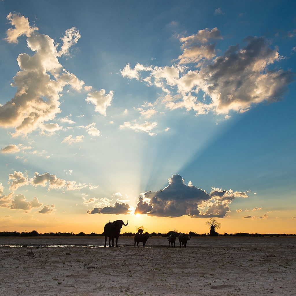 Weite Ebenen Camping Safari in Botswana