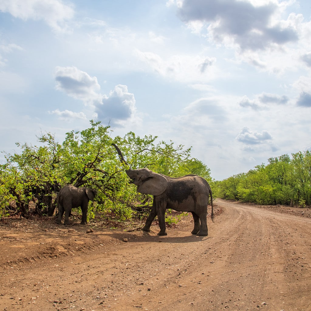 Rundreise Suedafrika Kleingruppe Gefuehrt