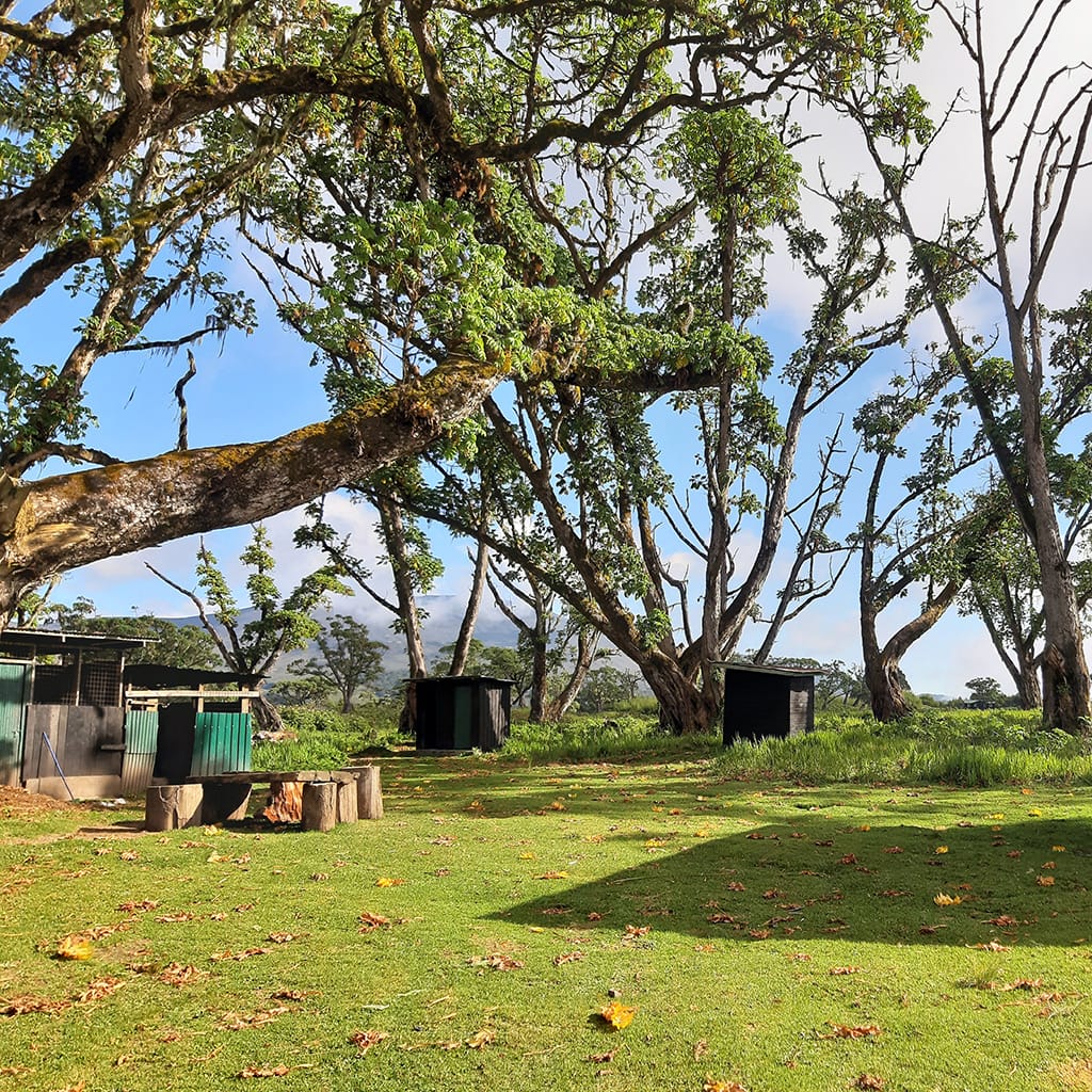 Toiletten zur Allgemeinnutzung auf der Chogoria Route Mt Kenia