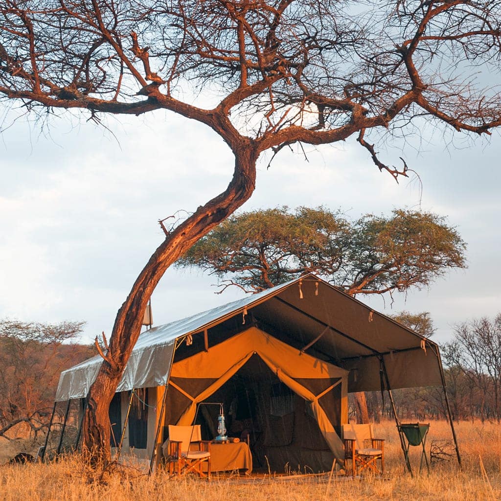 Serengeti Kati Kati Camp, Tansania