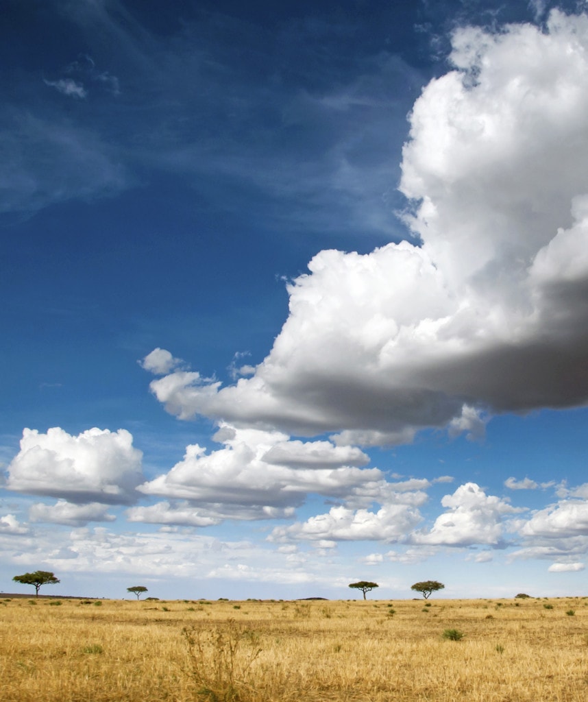 Serengeti Tansania Reisen