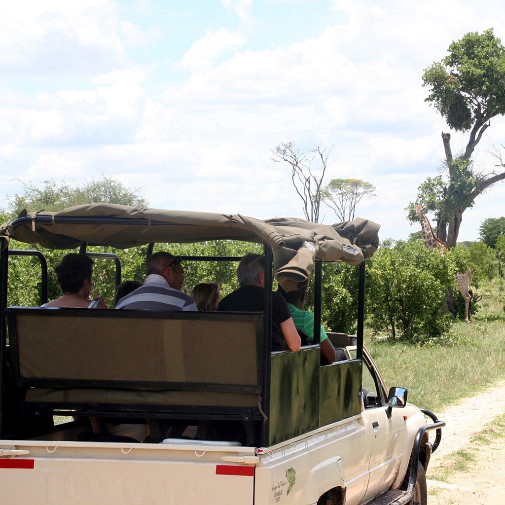 Auf Pirschfahrt während Rundreise durch Südafrika Botswana und Simbabwe
