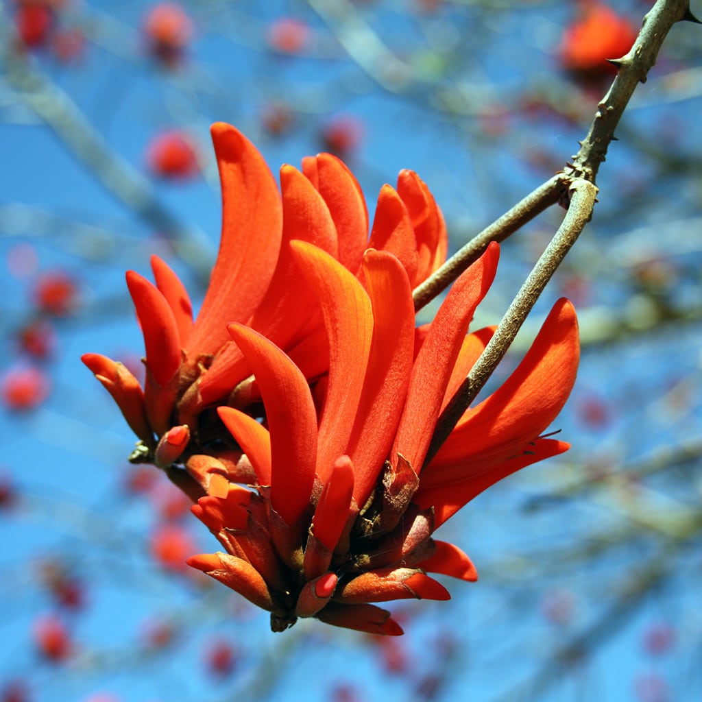 Suedafrika Kleingruppenreise Garden Route