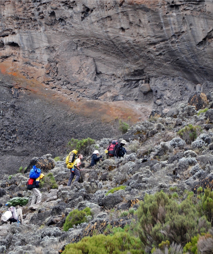 Tag 3 Lemosho Route Kilimanjaro