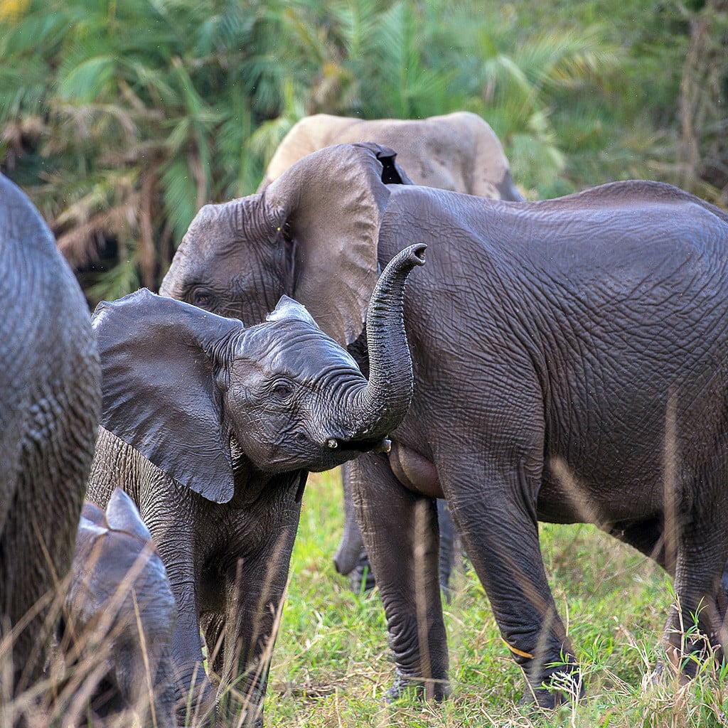 Von Johannesburg nach Kapstadt Reise Gruppe