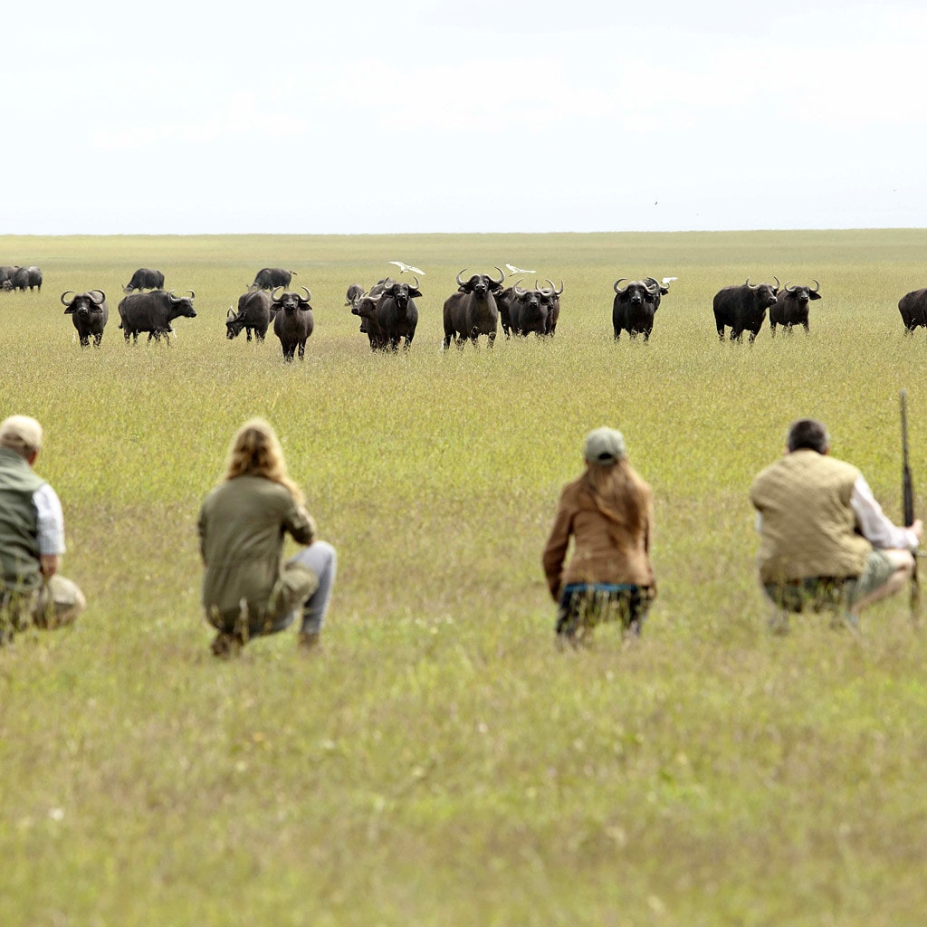 Walking Safari zu Fuß während einer Flugsafari in Kenia