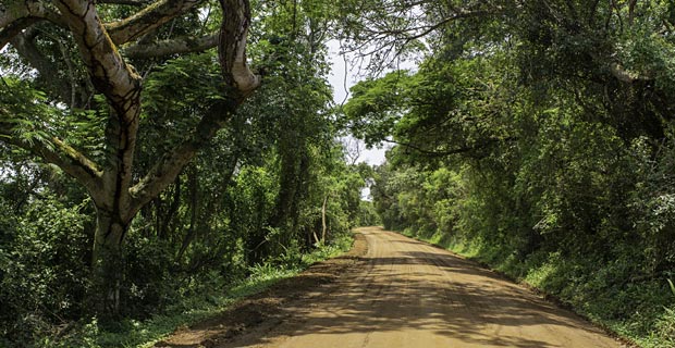 Welcher Nationalpark schönster Südafrika