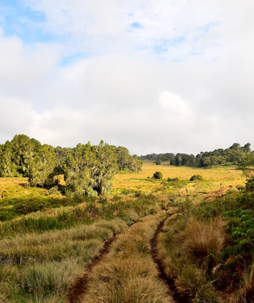 Tag 4 Sirimon Route Mount Kenia