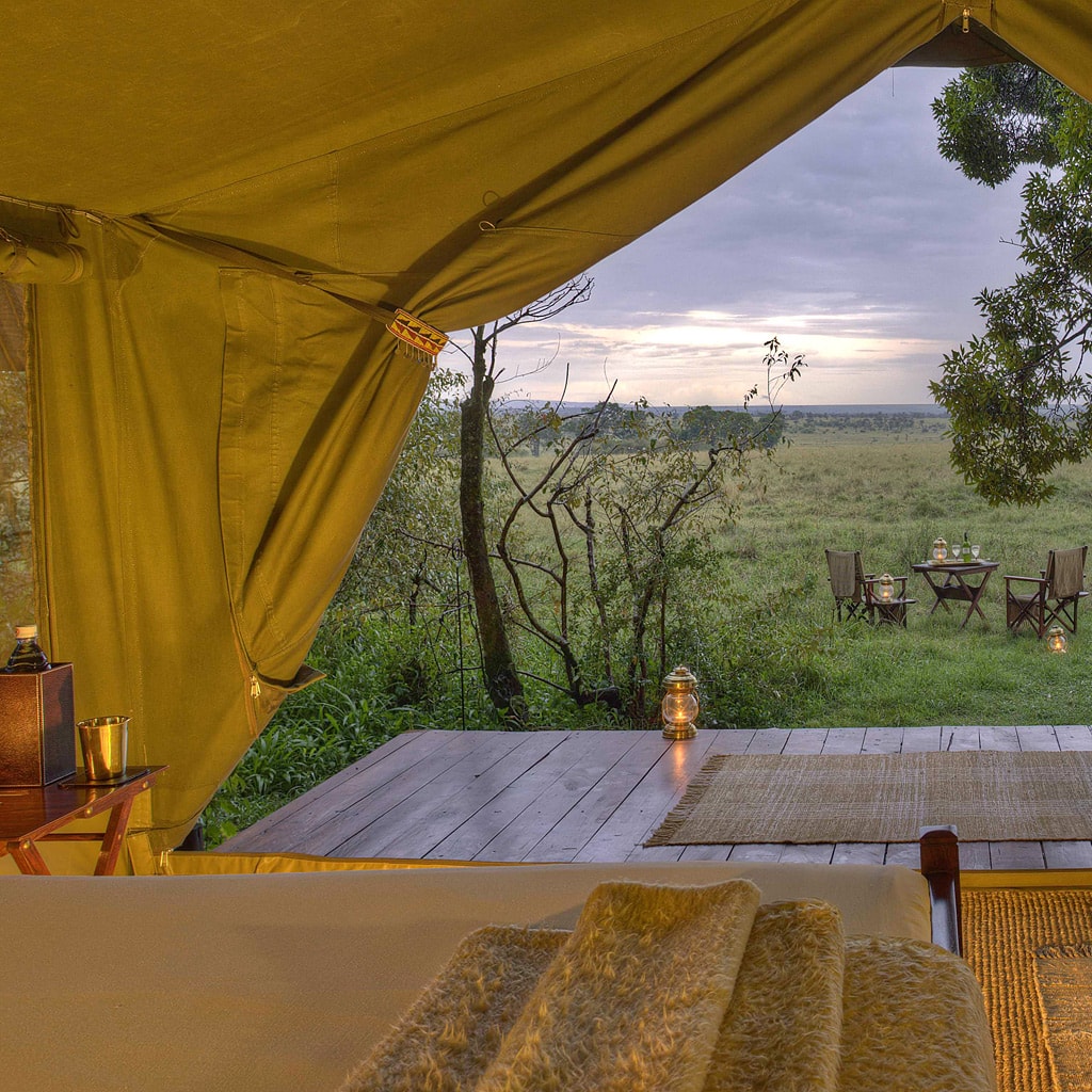 Elephant Pepper Camp Masai Mara