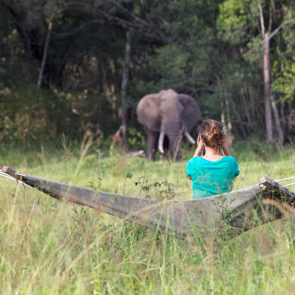 Einen Elefanten von der Hängematte aus beobachten auf Flugsafari in Kenia