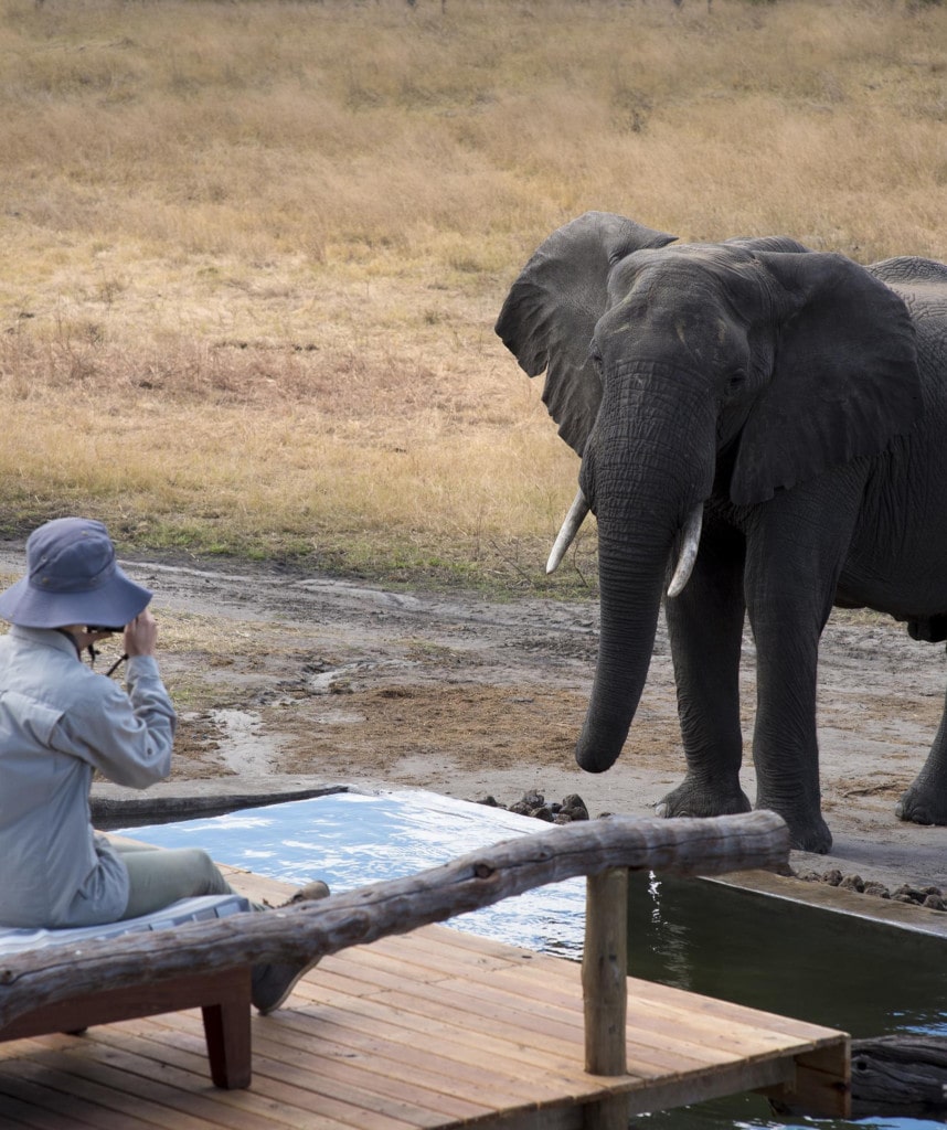 Fly-In Safari Simbabwe Somalisa Expeditions Camp