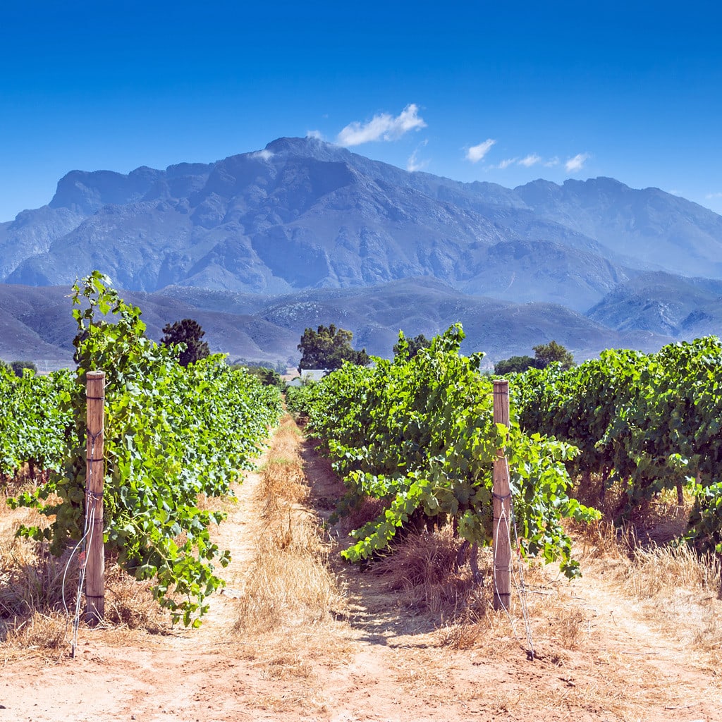 Garden Route Kleingruppenreise Suedafrika