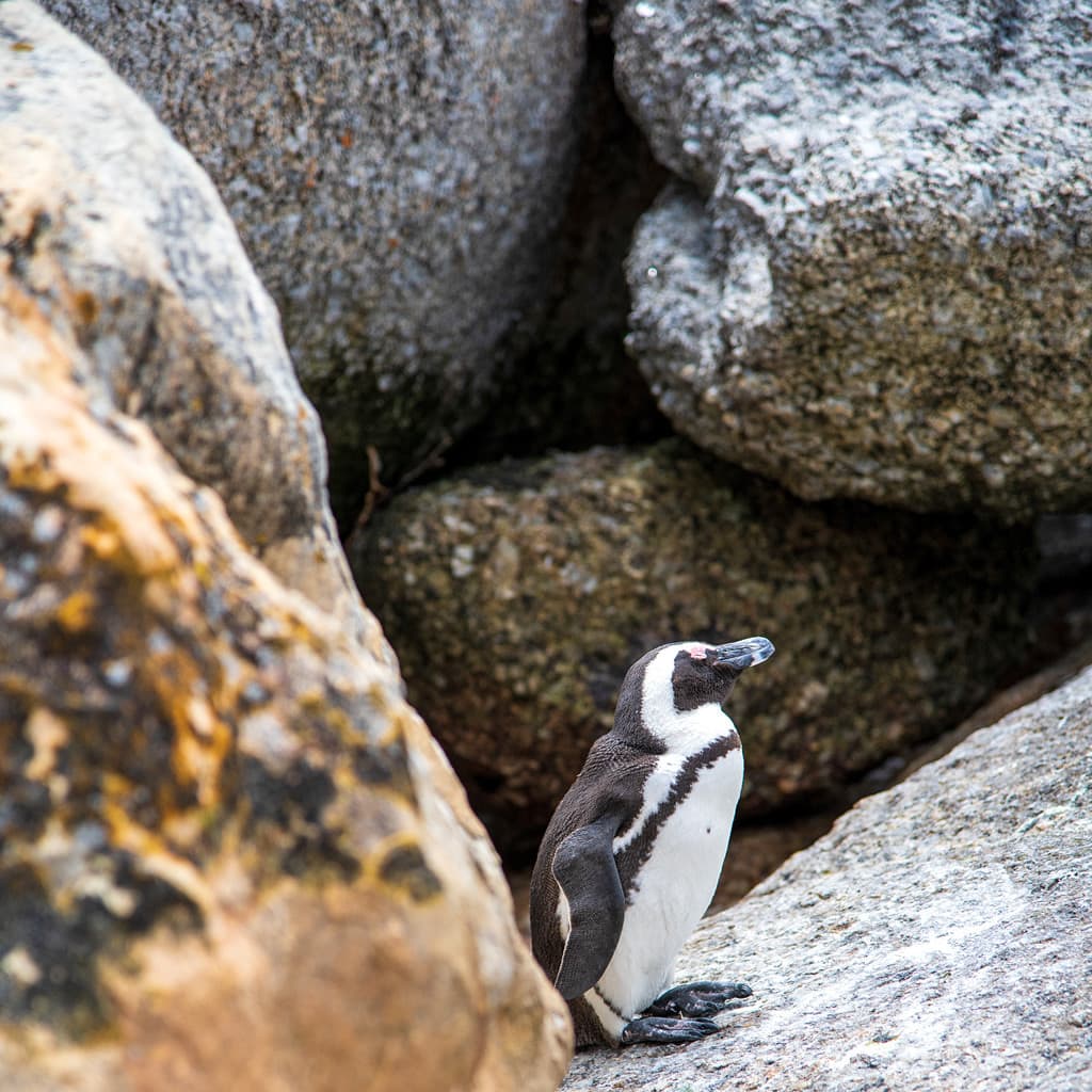 Garden Route Suedafrika Kleingruppe Reise