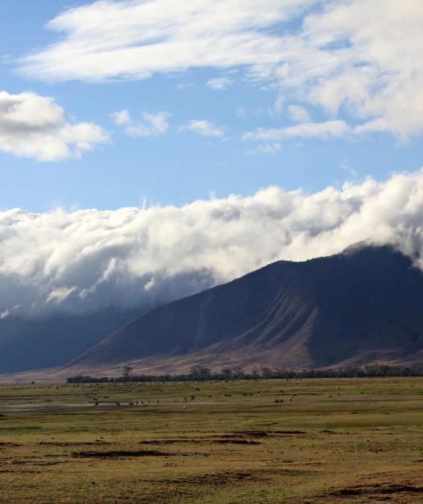 Ngorongoro Krater Tansania Safari Highlight