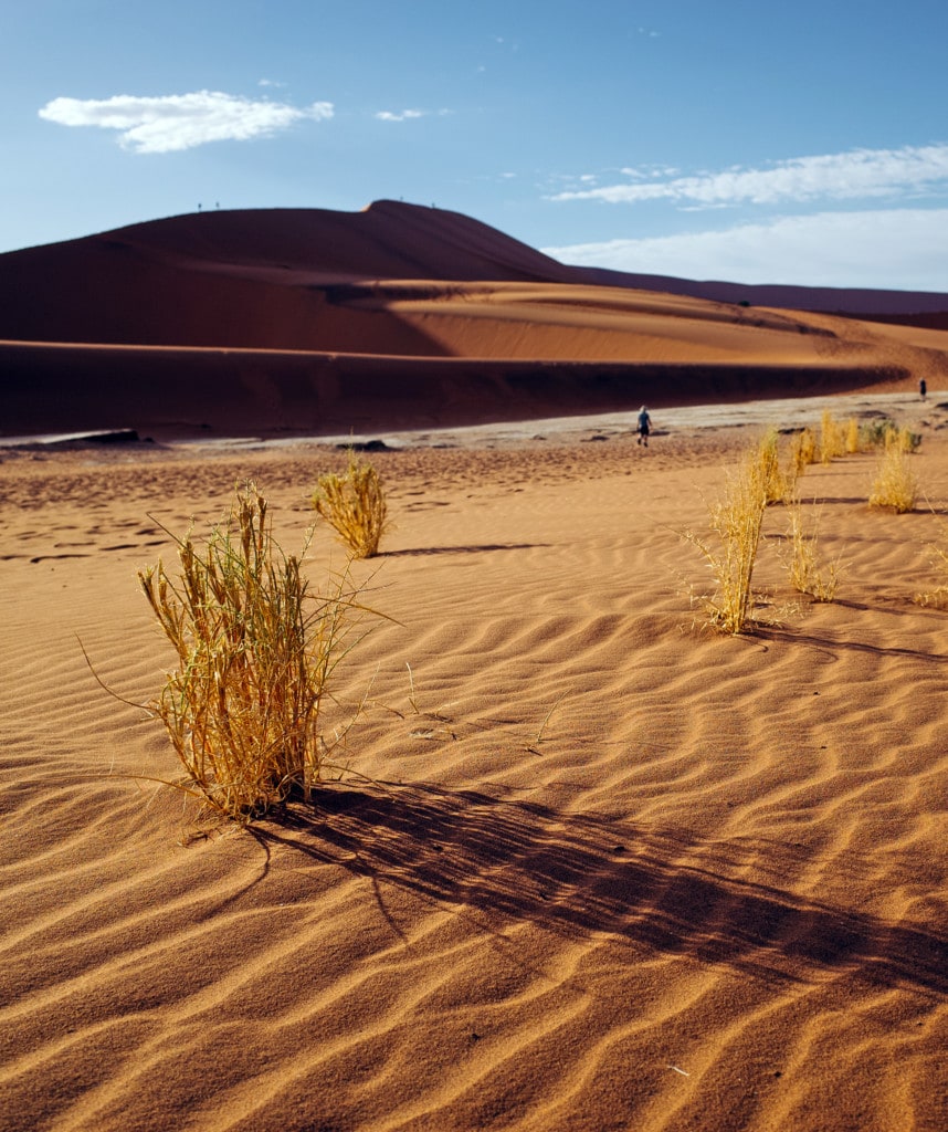 Namib Wüste auf Gruppenreisen Highlight auf Rundreise durch Namibia