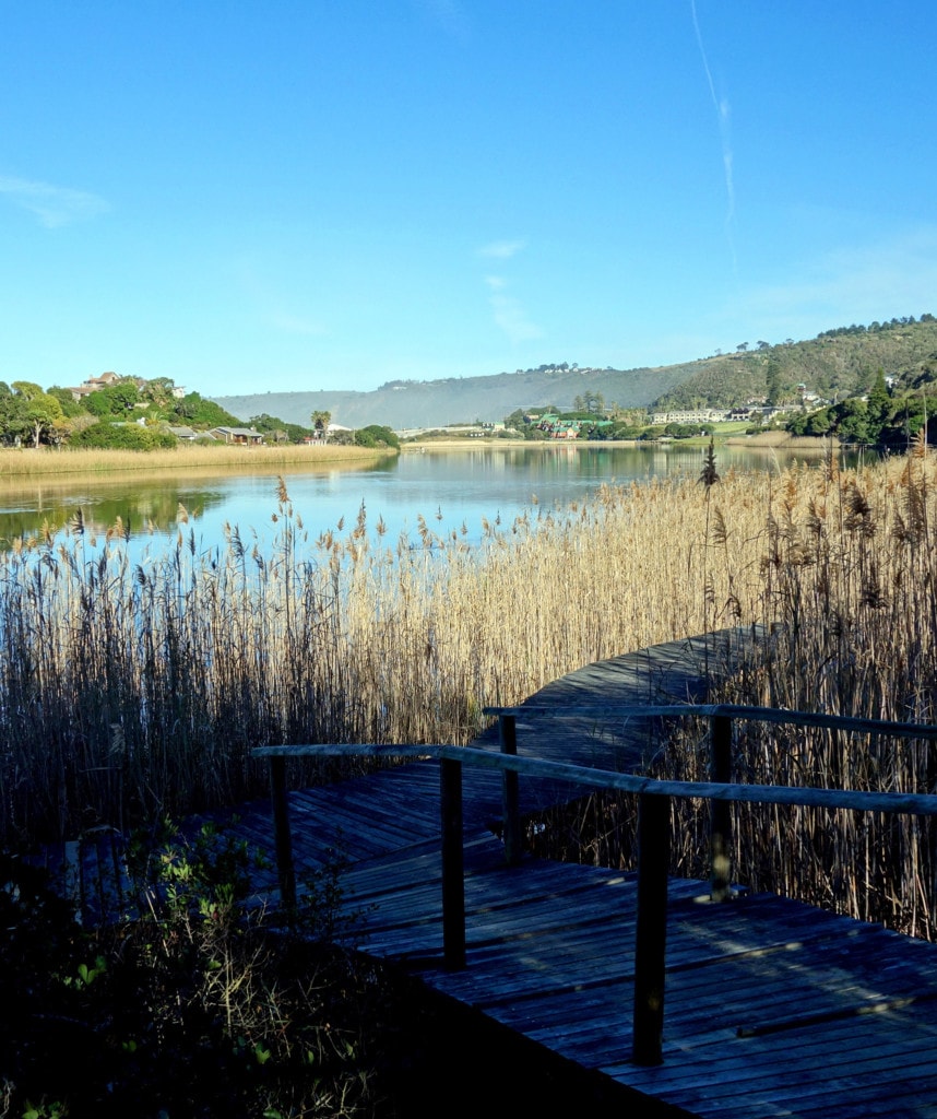 Highlights Kleingruppenreise Suedafrika Garden Route