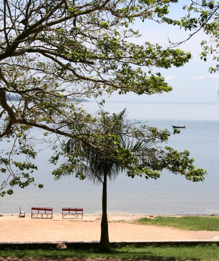 Aussich auf den Lake Victoria