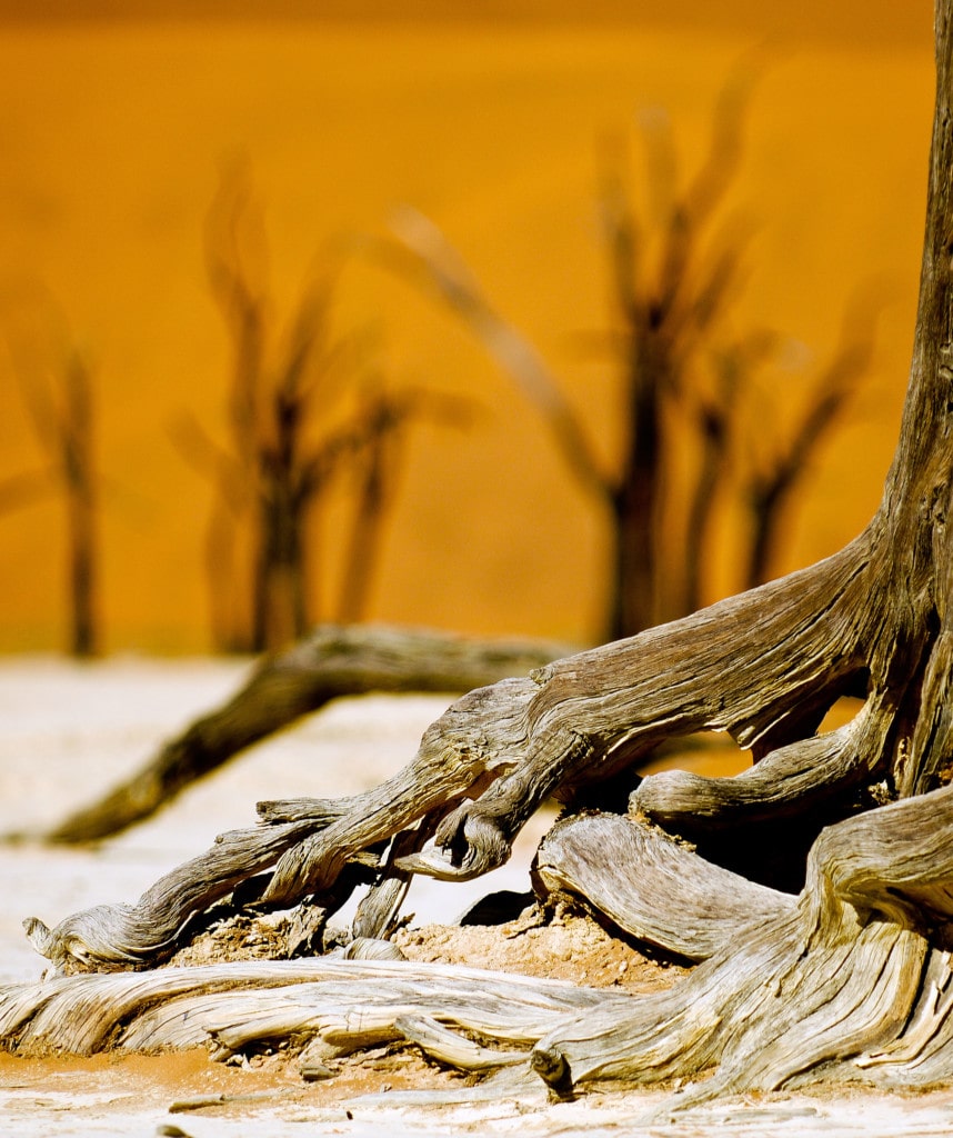 Highlights Mietwagenreise Namibia Namib