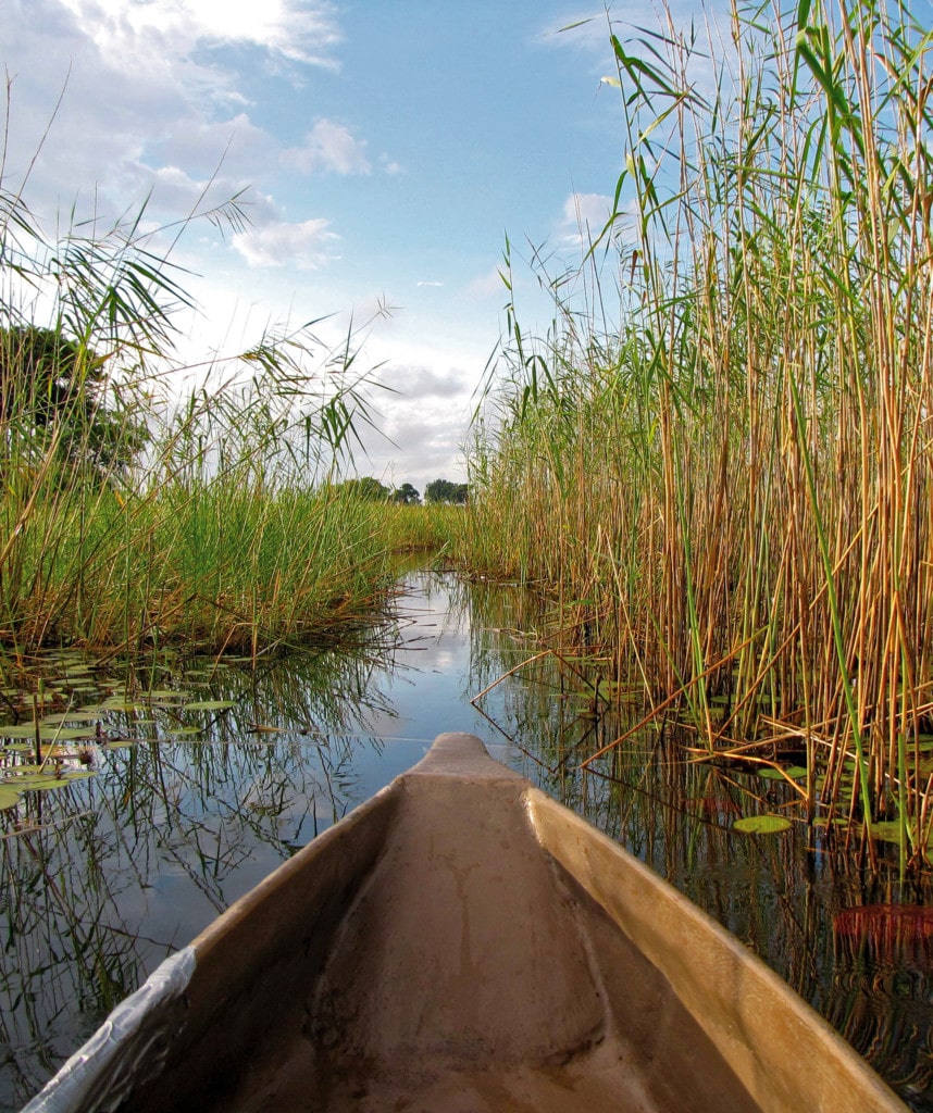 Highlights Reise Kapstadt Victoria Falls Delta