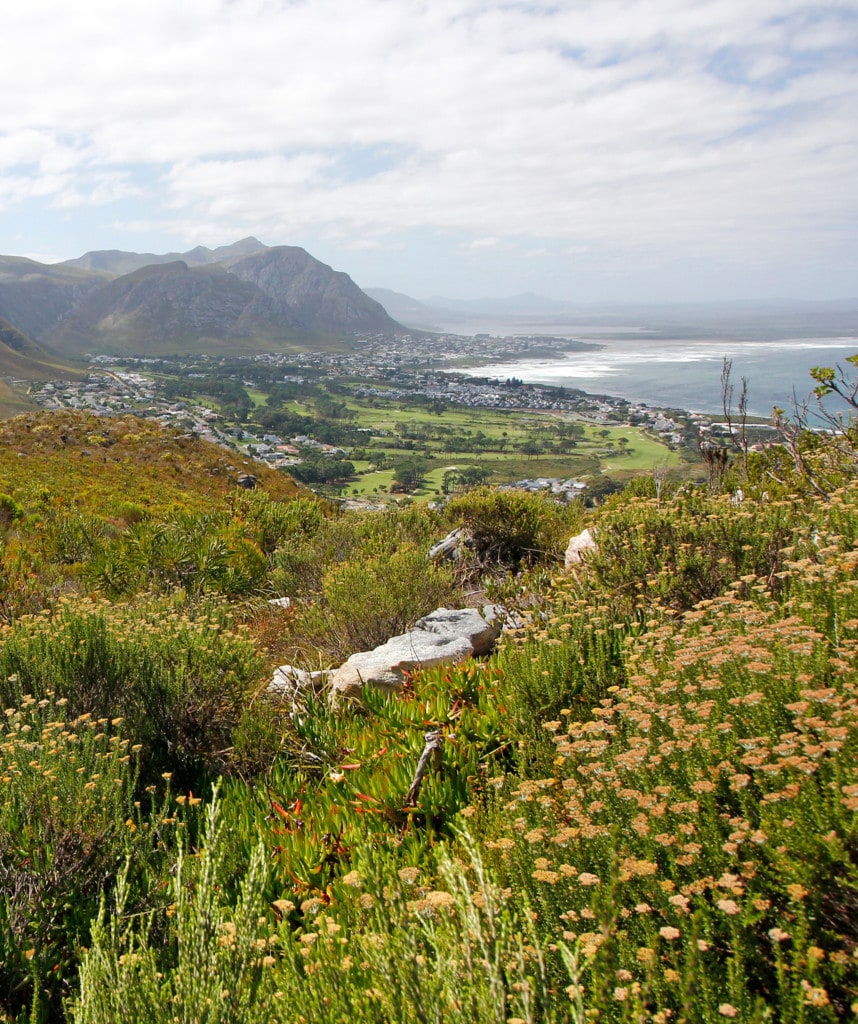 Highlights Reise Suedafrika Garden Route Hermanus