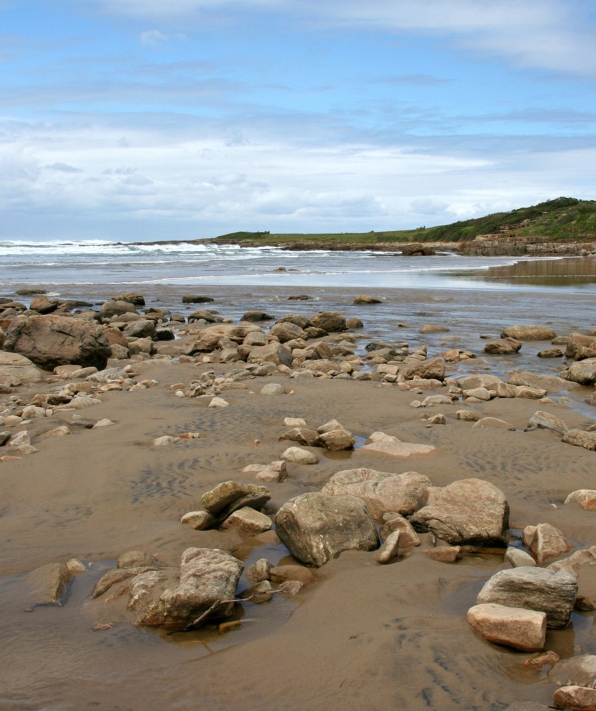 Highlights Reise von Johannesburg nach Kapstadt - Wildcoast