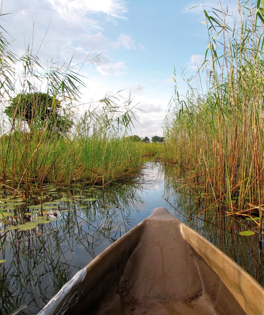 Mokorofahrt durch das Okavango Delta auf Reise von Südafrika zu den Viktoriafällen
