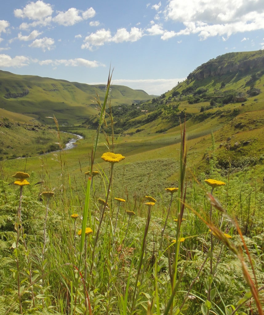Ausblicke im Giants Castle Nationalpark auf Wanderreise in Südafrika