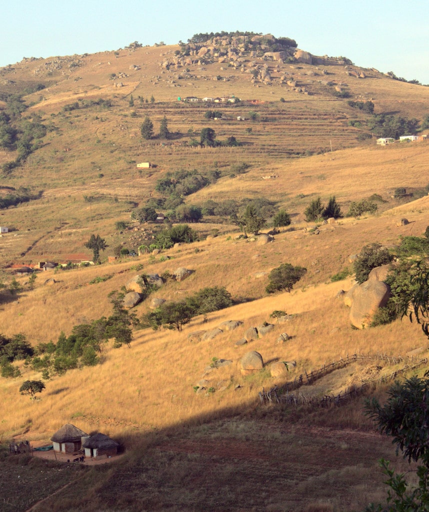 Highlights Zwei Wochen Suedafrika Safari Swasiland