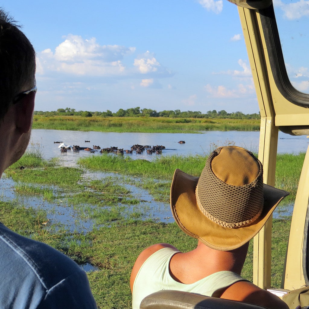 Kleingruppe Botswana Safari