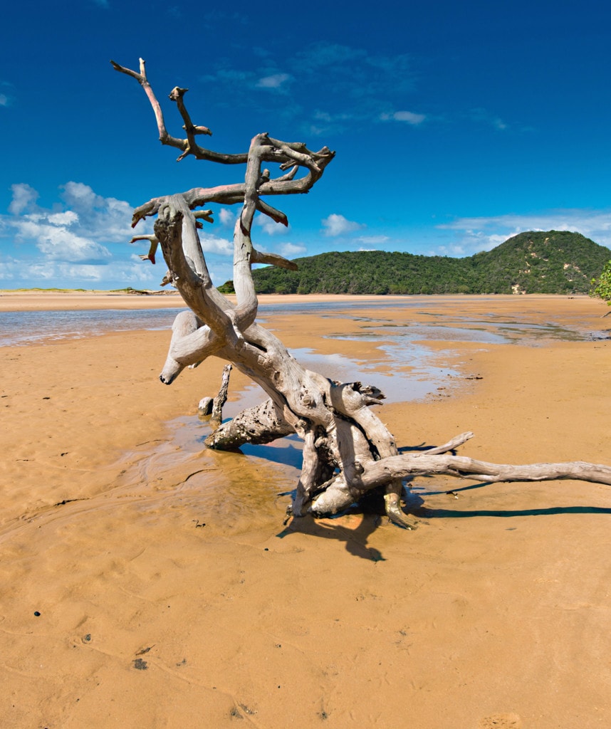 Kosi Bay Suedafrika Highlights Rundreise Auto