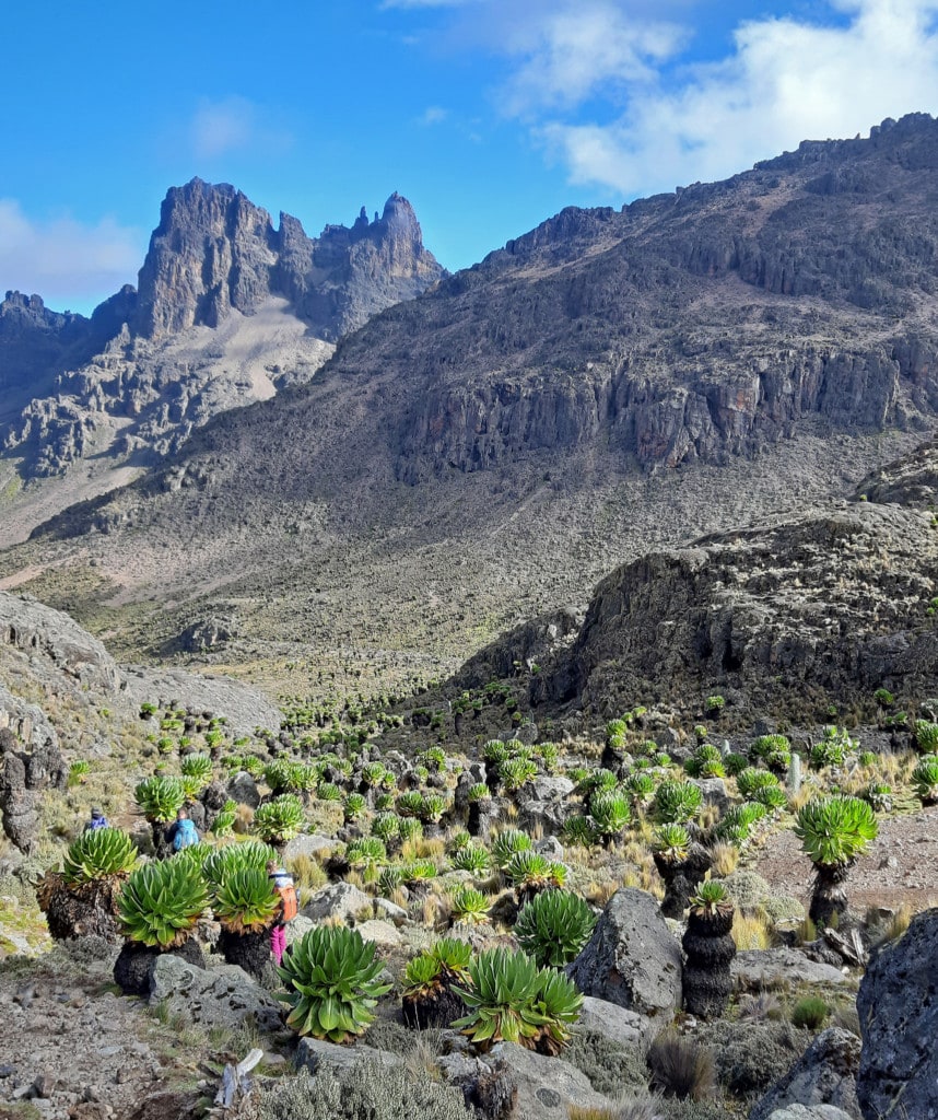 Tag 4 auf der Chogoria Route Mt Kenia