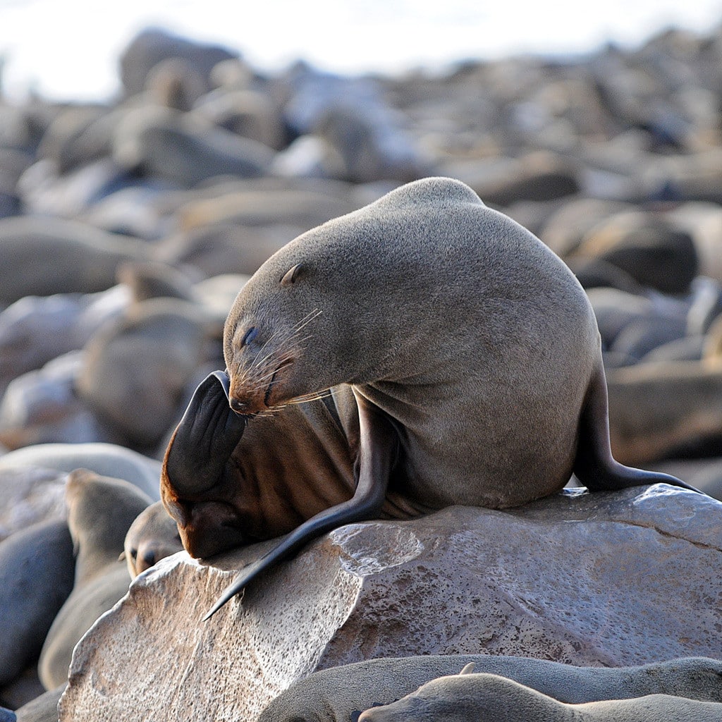 Swakopmund in Namibia auf Gruppenreise von den Victoria Falls