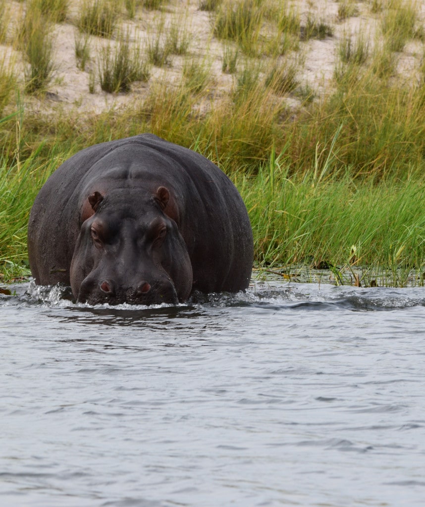 Okavango Delta Camping Reise Botswana