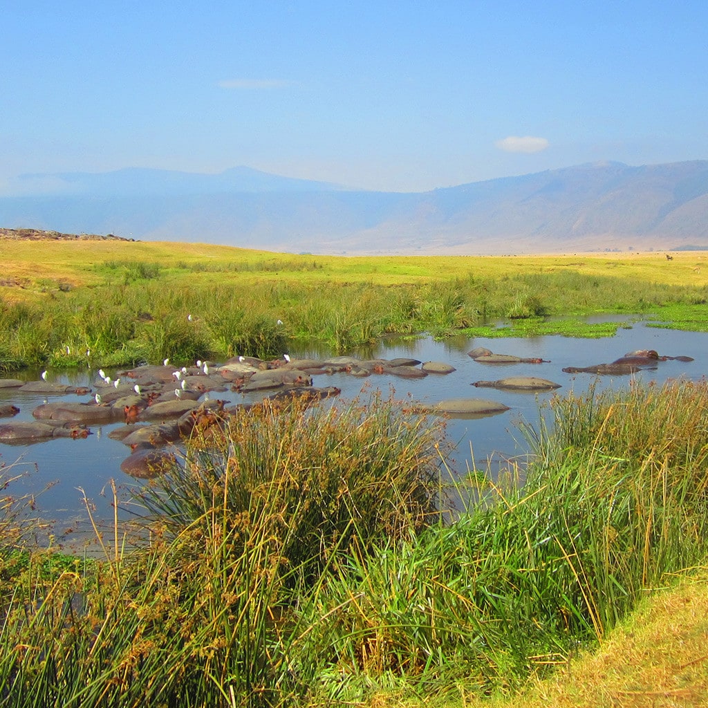 Ostafrika Gruppenreise Kenia Tansania