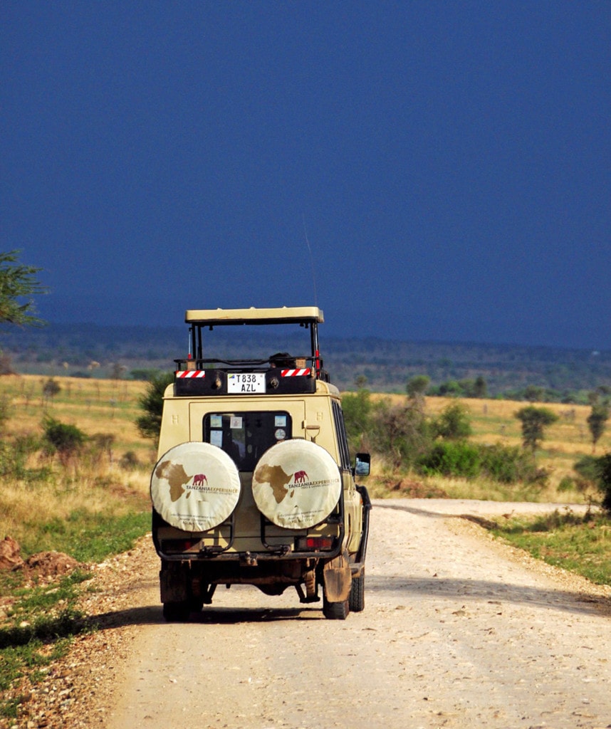 Private Safari im Serengeti Nationalpark in Tansania
