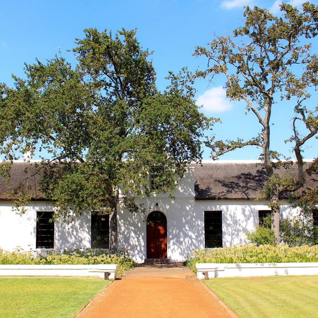 Weingut Weinreise Südafrika