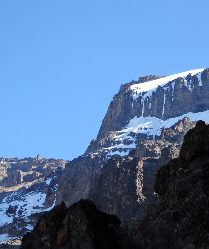 Tag 4 Lemosho Route Kilimanjaro