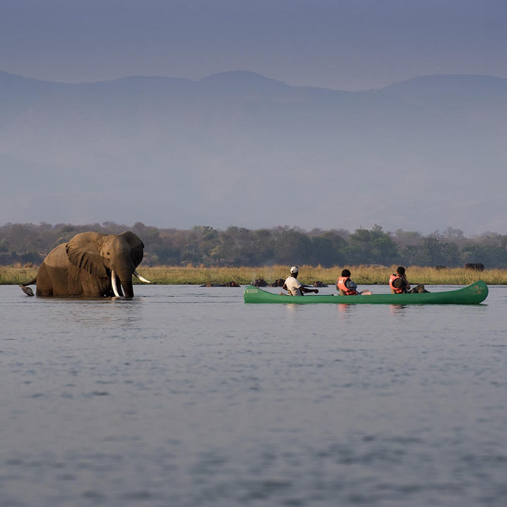 Zambezi Expeditions Flugsafari Simbabwe
