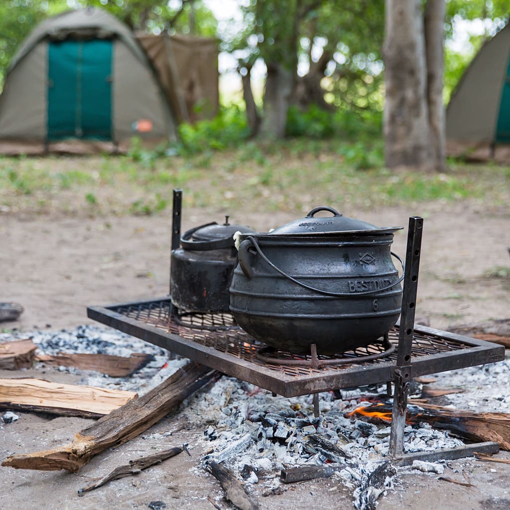 Camp Kochstelle Botswana Highlights